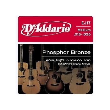 D'addario EJ17