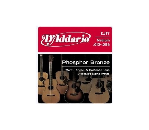 D'addario EJ17
