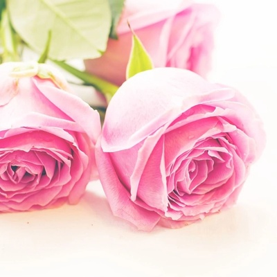 Rose of Bulgaria Glycerínové mydlo Ružový kvet štvorec Biofresh 70 g