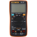 ANENG AN 8009