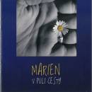 Marien - V půli cesty CD