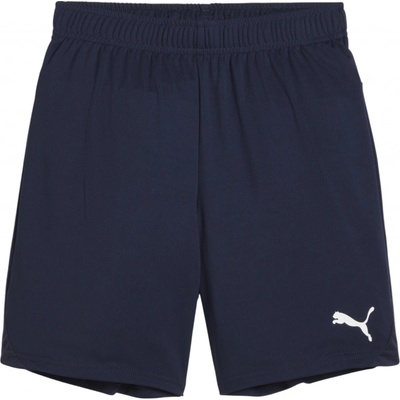 Puma Teamgoal shorts jr 705753 06
