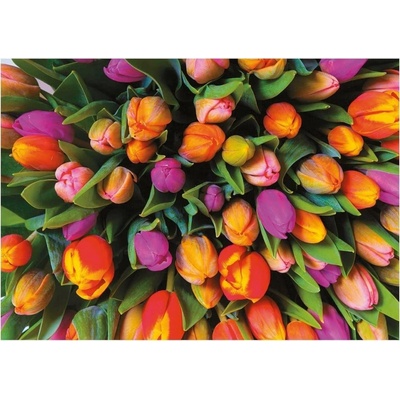 PIATNIK Tulipány 1000 dielov