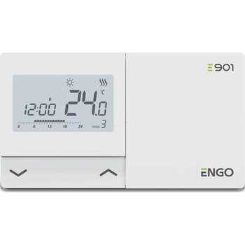 ENGO E901