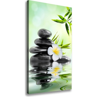 Vertikálny moderný fotoobraz canvas na ráme Bambus 50x100 cm