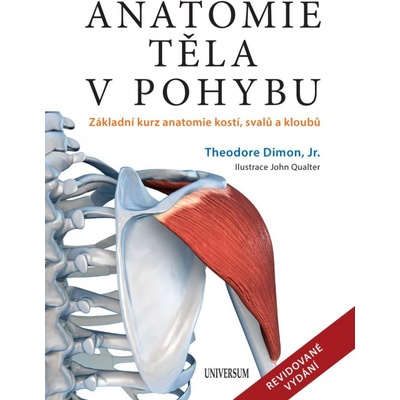 Anatomie těla v pohybu - Základní kurz anatomie kostí, svalů a kloubů