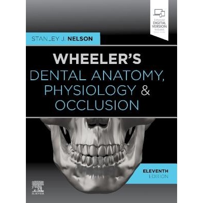 Wheeler's Dental Anatomy, Physiology and Occlusion