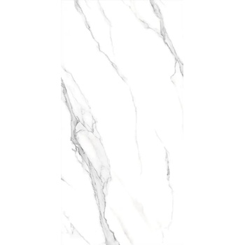 Image 1 of Izida ceramica ГРАНИТОГРЕС CALACATA SILVER 105CC11 60x120 8мм (105CC11)