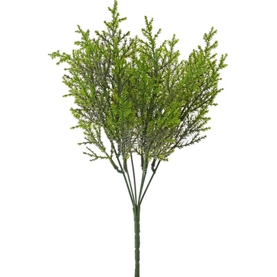 ZELEŇ TUJA ZELENÁ 32CM