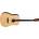TANGLEWOOD TM5E