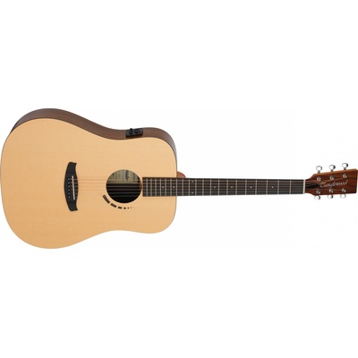 TANGLEWOOD TM5E