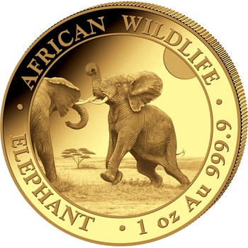 Bavarian Mint Munich Zlatá mince Somalia Elephant 2024 1 oz