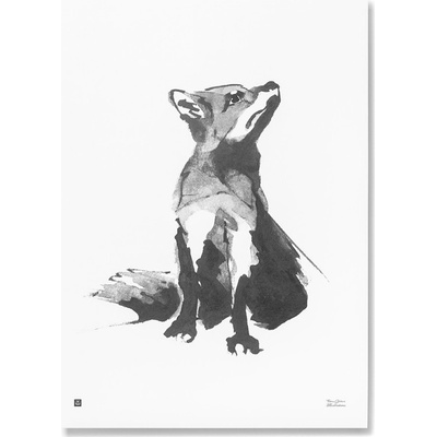 Plagát Red Fox 50x70