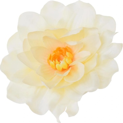 HLAVA DAHLIA LOSOS P:12CM BAL:12KS