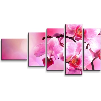 Sablio Obraz - 5-dílný Květy Orchidey - 100x60 cm