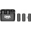 DNA ICM1