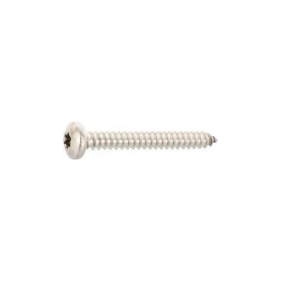 DIN7981C 4.2 x 9.5 Torx20 vrut do plechu s čočkovou hlav. z ušlecht. oceli A2 (100 ks)