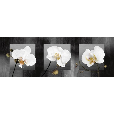 Bílé orchideje 1 deska 100x35