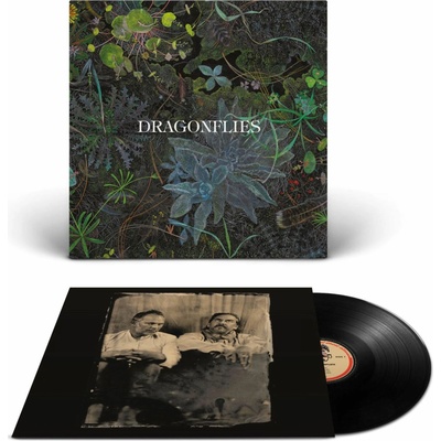Dragonflies - Dragonflies Vinyl LP