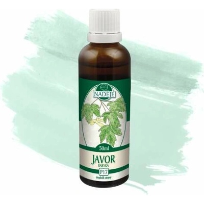Naděje tinktúra z púčikov javor poľný P17 50 ml