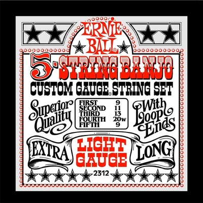 ERNIE BALL 2312