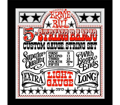 ERNIE BALL 2312