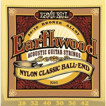 Ernie Ball 2069