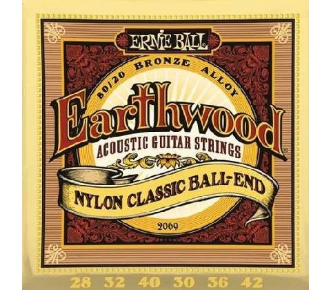 Ernie Ball 2069