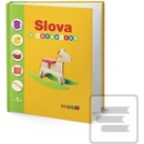 Slova v obrázcích