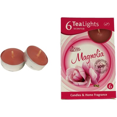 Morex MAGNOLIA 6ks