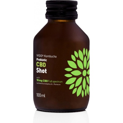 Vigo kombucha Shot CBD 100 ml
