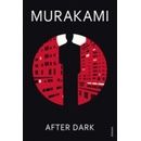 After Dark - Murakami Haruki