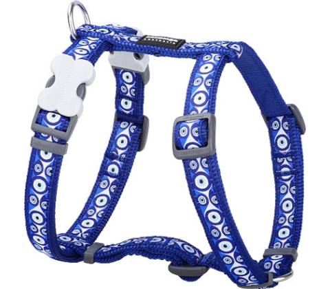 Red Dingo postroj Evil Eye
