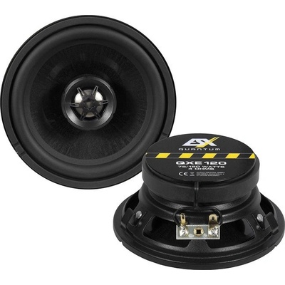 ESX Audio QXE120