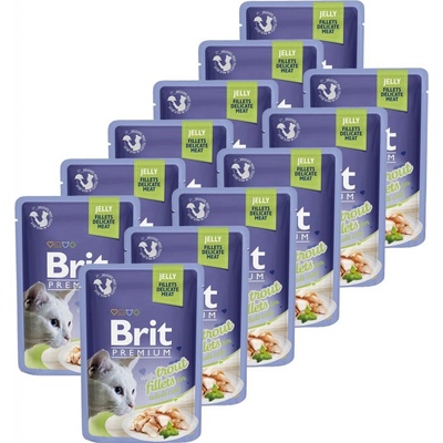 BRIT Premium Cat Trout in Jelly 12 x 85 g