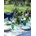 Entertaining at Home | Ronda Carman, India Hicks, Matthew Mead