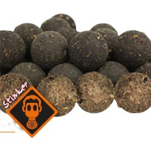 Imperial Baits Carptrack Elite boilies 8kg 20mm v iBoxu