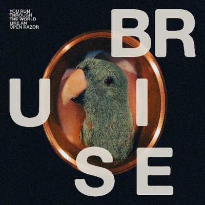 Bruise Blood - You Run Through The World Like An Open Razor LP