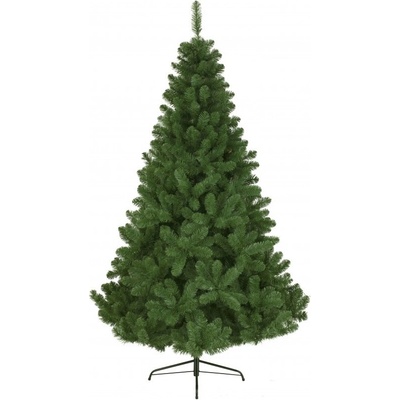 JEDLE CANADIAN, 240cm