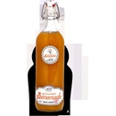 My homemade Lemonade Pomeranč s hřebíčkem 1 l