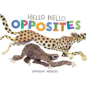 Hello Hello Opposites (ISBN: 9781797219981)