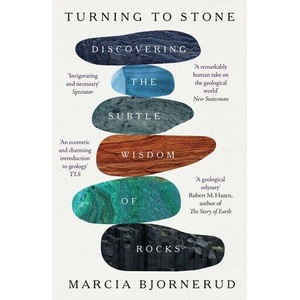 Turning to Stone (ISBN: 9781472298492)