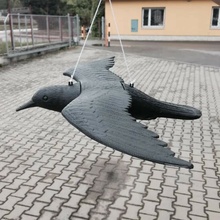 Bradas - Maketa havrana plastová - havran - plašič ptáků 1ks
