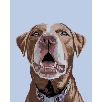 Malování podle čísel HNĚDÝ LABRADOR S MODRÝM OBOJKEM JIM KILLEN