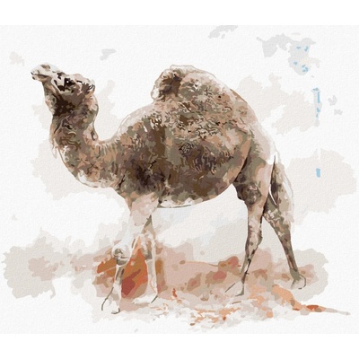 Zuty Malování Podle Čísel Velbloud 40 x 50 Cm Plátno Rám 8596530139973