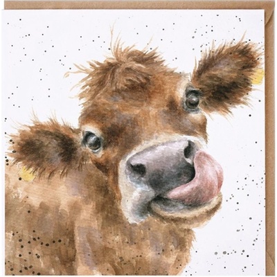 Přání Wrendale Designs "Mooooo", 15x15 cm - Kráva