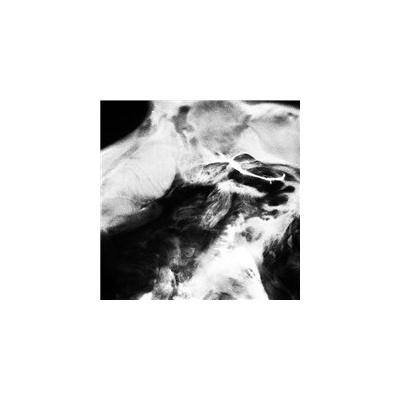 SaffronKeira - A New Life