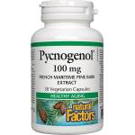 Natural Factors Pycnogenol, 100 mg, 30 капсули, Natural Factors