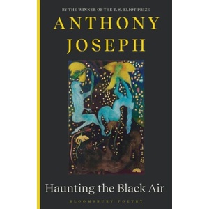 Haunting the Black Air (ISBN: 9781526683380)