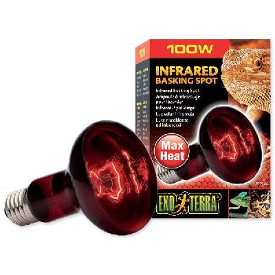 EXO TERRA Žiarovka Infrared Basking Spot, 100W
